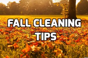 8 Amazing Fall Cleaning Tips