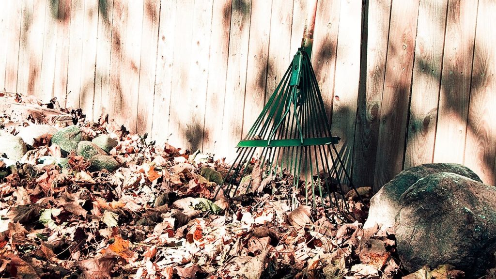 how to rake leaves fast