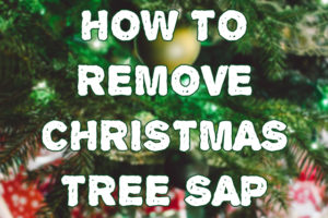How to Remove Christmas Tree Sap Stains From Your Carpet