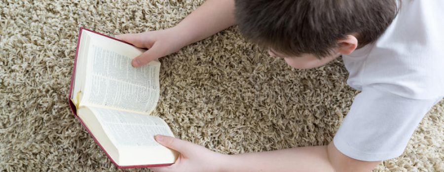 Extending the Life of Your Carpets by Cleaning Them the Right Way