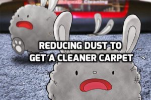 Reducing Dust to Get a Cleaner Carpet