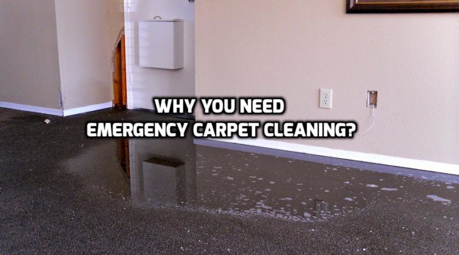 What is Emergency Carpet Cleaning and Why Would You Ever Need It?