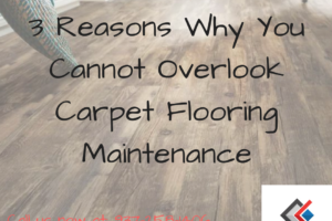 3 Reasons Why You Cannot Overlook Carpet Flooring Maintenance