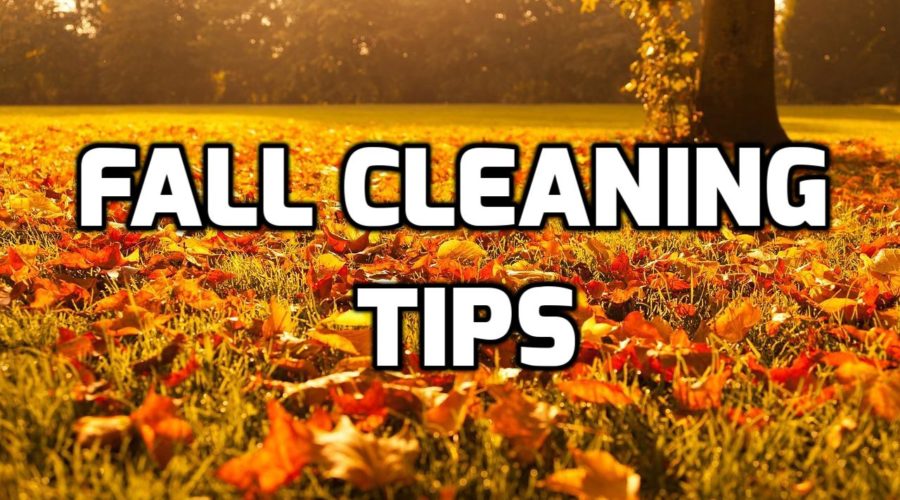 8 Amazing Fall Cleaning Tips