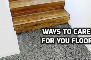 how to clean carpet at home